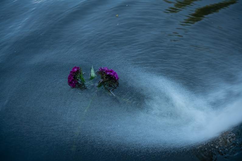 asverstrooiing water bloemen